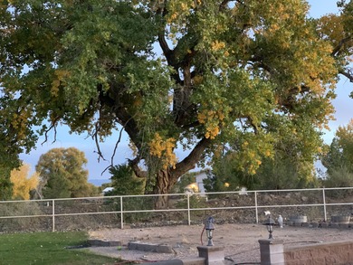 Discover one of the South Valley's most charming secrets: a one