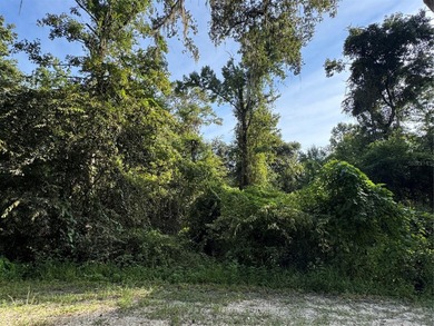 Withlacoochee River Lot For Sale in Dade City Florida