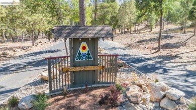 Welcome to beautiful Pine Mountain Lake in Groveland, CA - just - photo 34
