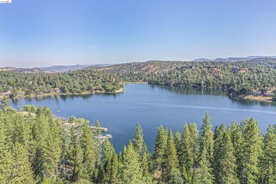Welcome to beautiful Pine Mountain Lake in Groveland, CA - just - photo 39
