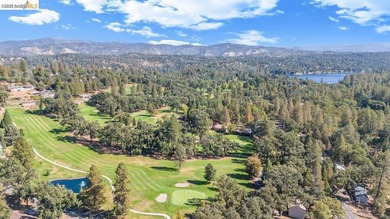 Welcome to beautiful Pine Mountain Lake in Groveland, CA - just - photo 41
