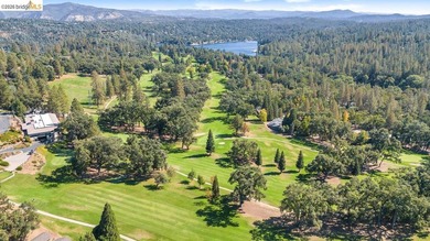 Welcome to beautiful Pine Mountain Lake in Groveland, CA - just - photo 44