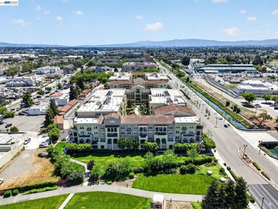 Rare corner unit in the highly sought-after Terra Serena Luna - photo 46