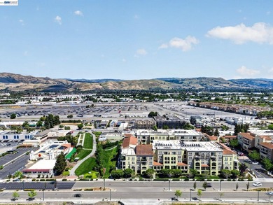Rare corner unit in the highly sought-after Terra Serena Luna - photo 49