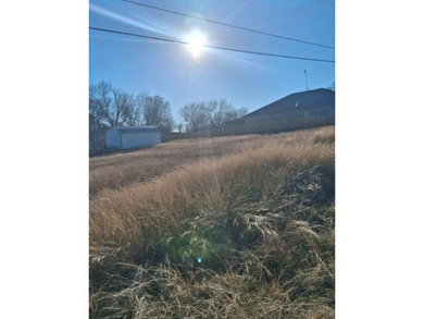 Cedar Creek Lake Lot For Sale in Kemp Texas