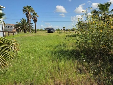Canal-front living begins here in the sought-after Holiday Beach - photo 4