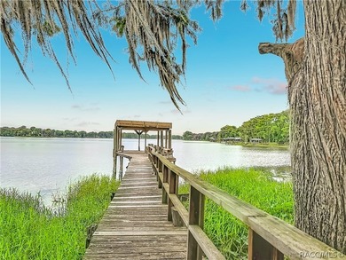 Tsala Apopka Chain of Lakes Home For Sale in Floral City Florida