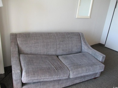 King oceanview unit with large balcony, private bedroom; Murphy - photo 11