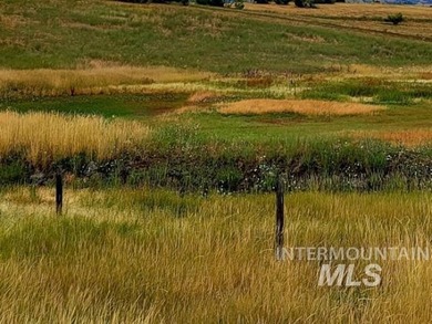 (private lake, pond, creek) Acreage Sale Pending in Mesa Idaho