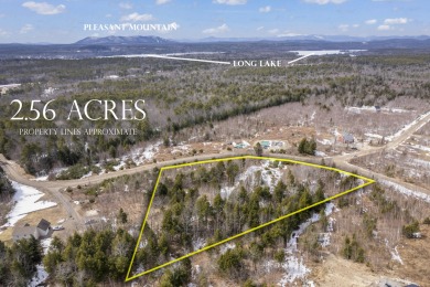 Long Lake - Cumberland County Acreage For Sale in Harrison Maine