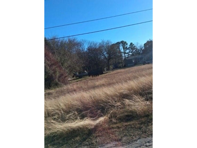 Cedar Creek Lake Lot For Sale in Kemp Texas