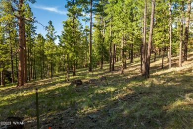 Little Colorado River Lot For Sale in Greer Arizona