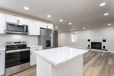 Welcome to this stunning, completely renovated 4-bedroom - photo 3