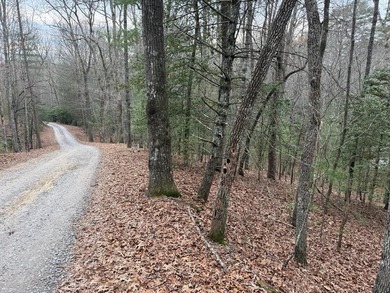 Lake Hiwassee Lot For Sale in Murphy North Carolina