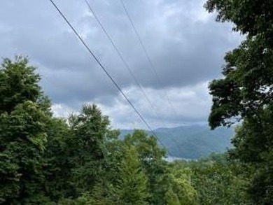 Lake Nantahala Lot For Sale in Topton North Carolina