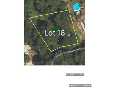 Price Improvement! Build your dream home on this beautiful - photo 3