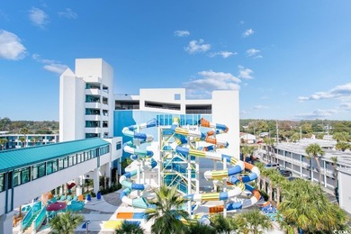 Resort has all the pools, hot tubs, lazy rivers and waterslides - photo 11