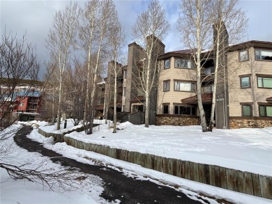 Snake River Condo For Sale in Keystone Colorado
