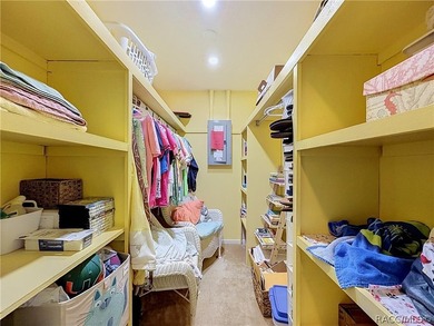 Welcome to 5253 W. Rochelle Street, Homosassa, FL! Situated on a - photo 19