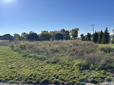 (private lake, pond, creek) Lot For Sale in Zeeland Michigan