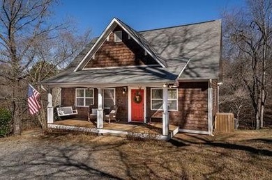 Lake Blue Ridge Home For Sale in Blue Ridge Georgia