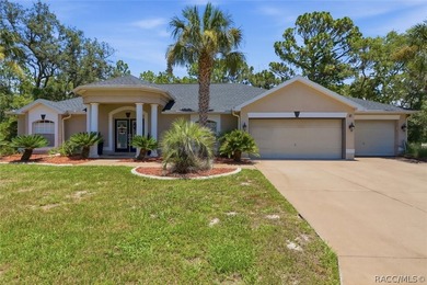 Pool Home on a Cul-De-Sac with new roof and A/C Welcome to this - photo 4