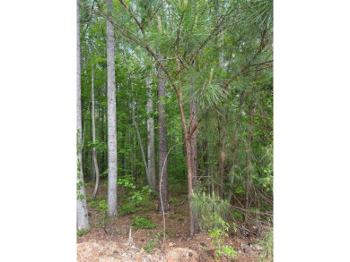 Lake Lot For Sale in Denver, North Carolina