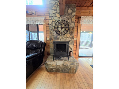 One of a kind log cabin in idyllic park setting on 2 acres, PLUS - photo 19