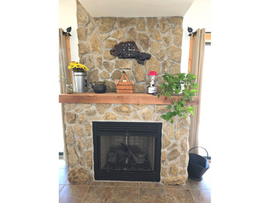 One of a kind log cabin in idyllic park setting on 2 acres, PLUS - photo 35