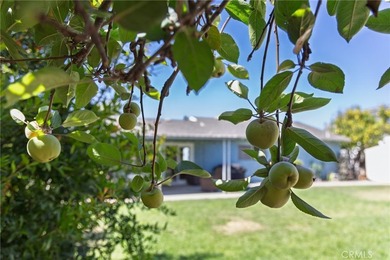 564 Stansbury - photo 41