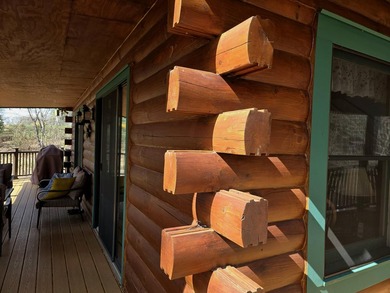 One of a kind log cabin in idyllic park setting on 2 acres, PLUS - photo 45