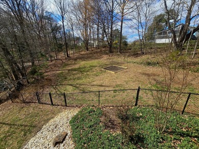 One of a kind log cabin in idyllic park setting on 2 acres, PLUS - photo 48