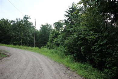 20.55 acres heavily wooded only minutes to town. This property - photo 1