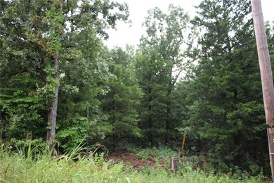 20.55 acres heavily wooded only minutes to town. This property - photo 3