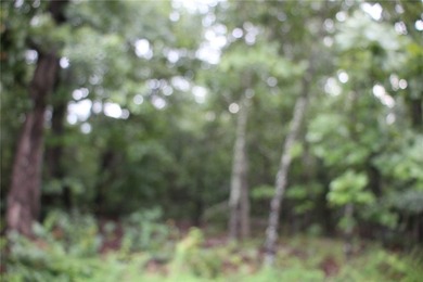 20.55 acres heavily wooded only minutes to town. This property - photo 4