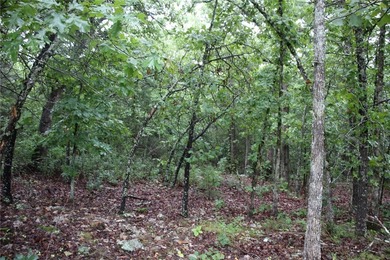 20.55 acres heavily wooded only minutes to town. This property - photo 6