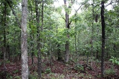 20.55 acres heavily wooded only minutes to town. This property - photo 7