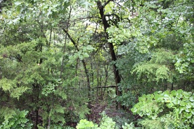 20.55 acres heavily wooded only minutes to town. This property - photo 10