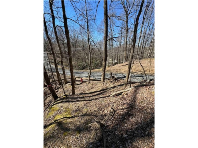 Lake Lot For Sale in Jasper, Georgia