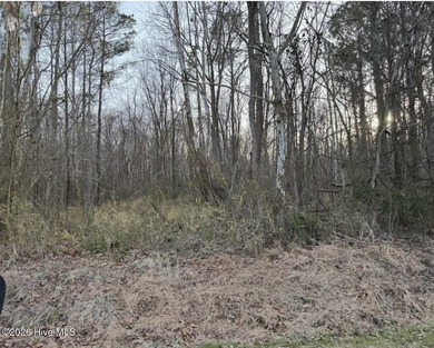 Looking for a lot in the country to build your new home? Check - photo 3