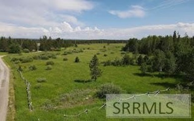 Island Park Reservoir Acreage For Sale in Island Park Idaho