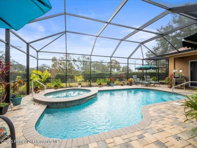 North Glen Lake Home For Sale in Spring Hill Florida