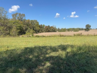 Lake Acreage For Sale in Roundhill, Kentucky