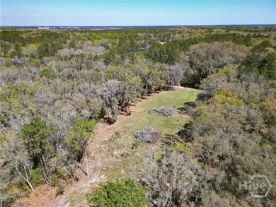 Nice Cleared 2.33 acres lot, located in Sunbury are of Midway - photo 11