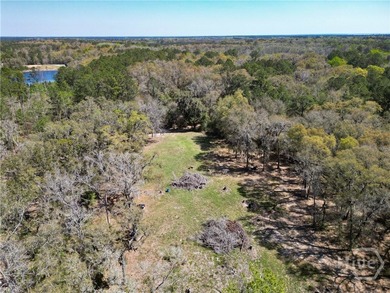 Nice Cleared 2.33 acres lot, located in Sunbury are of Midway - photo 12