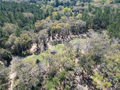 Nice Cleared 2.33 acres lot, located in Sunbury are of Midway - photo 13