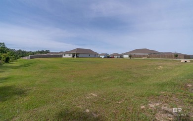 Gold Fortified 4-bedroom, 2-bath home on nearly a half-acre lot - photo 29
