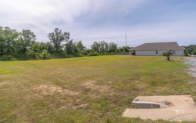 Gold Fortified 4-bedroom, 2-bath home on nearly a half-acre lot - photo 32