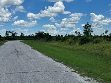 Here's your change to own a spacious lot at a great price!  This - photo 3