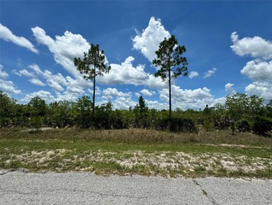 Here's your change to own a spacious lot at a great price!  This - photo 4